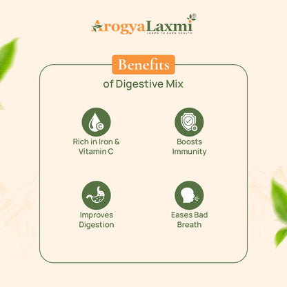 Arogyalaxmi Amla & Ajwain Botanical Spice Mix (100g)