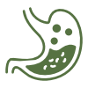 Boosts digestion and gut health