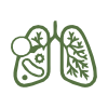 Respiratory Health Benefits
