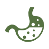 Supports Digestive Health