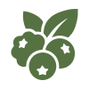 Rich in Antioxidants to combat aging
