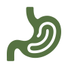Supports digestion
